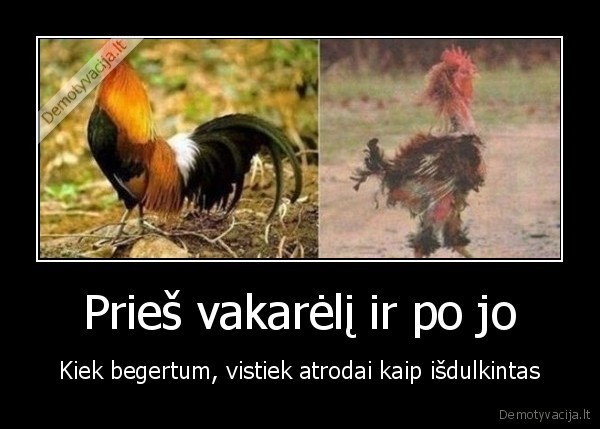 Prieš vakarėlį ir po jo