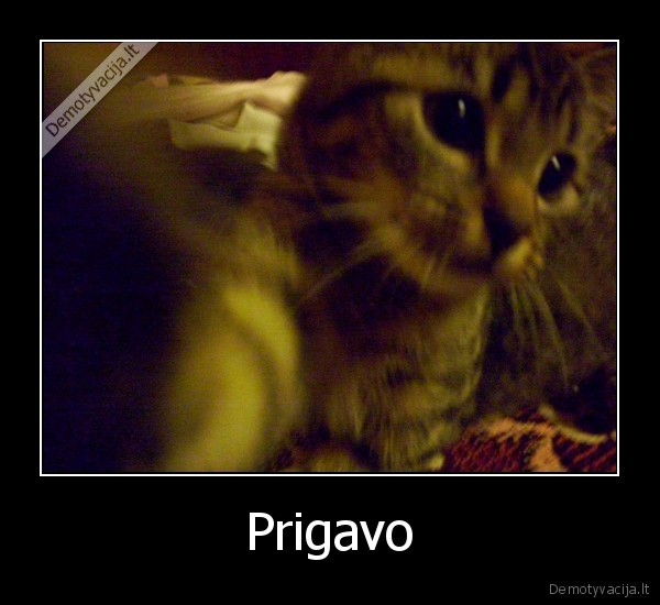 Prigavo