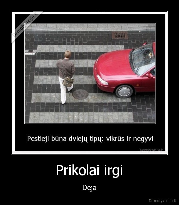Prikolai irgi