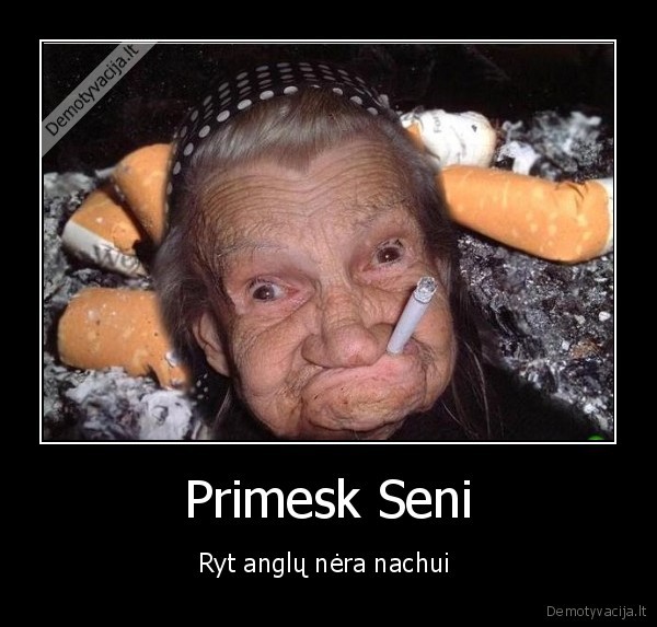 Primesk Seni