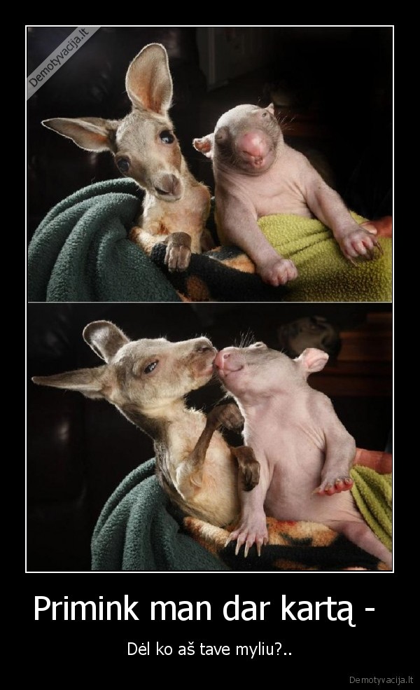 meile, visada, keista