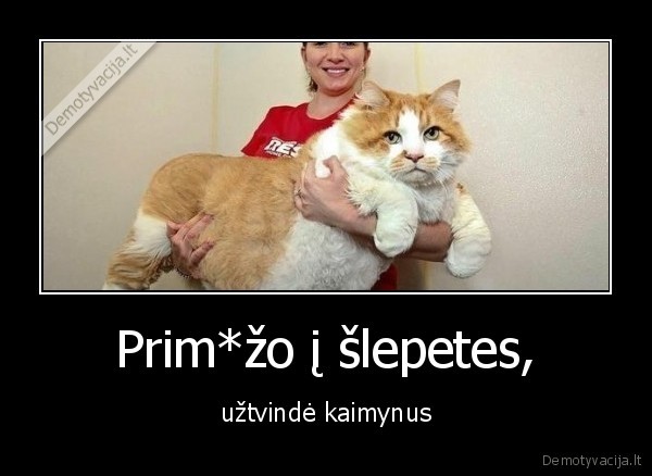 Prim*žo į šlepetes,