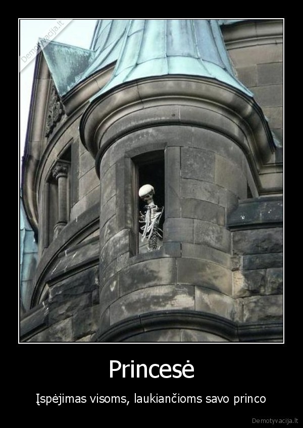 gyvenimo, ismintis,princas, ant, balto, zirgo