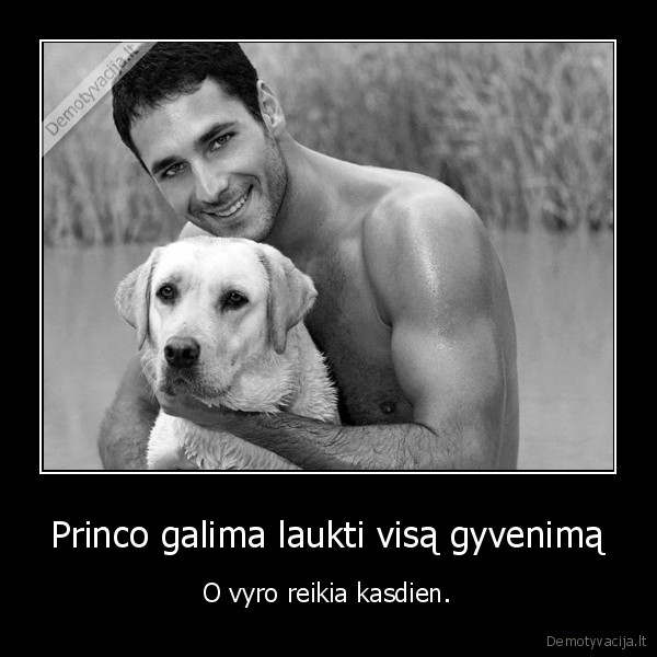 vyras,princas,moteriska, logika