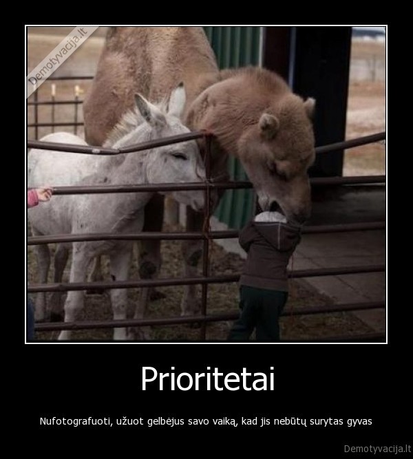 vaikas, nuotrauka, gyvas, suvalgytas