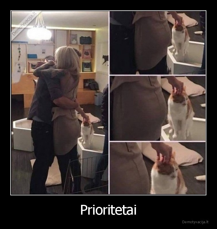 prioritetai,meile,katinas