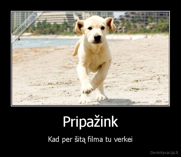 marley, and, me, marlis, ir, as