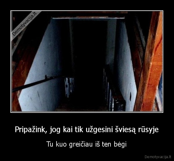 kubilius, nesioja, peruka,durna, galva, paliko, plaukai