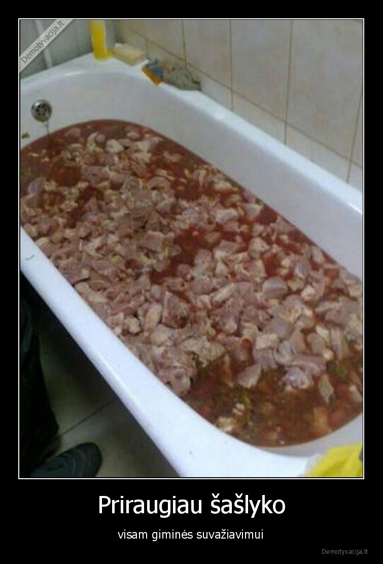 saslykai,priraugiau,saslyko,gimine,gimines, suvaziavimas,maistas