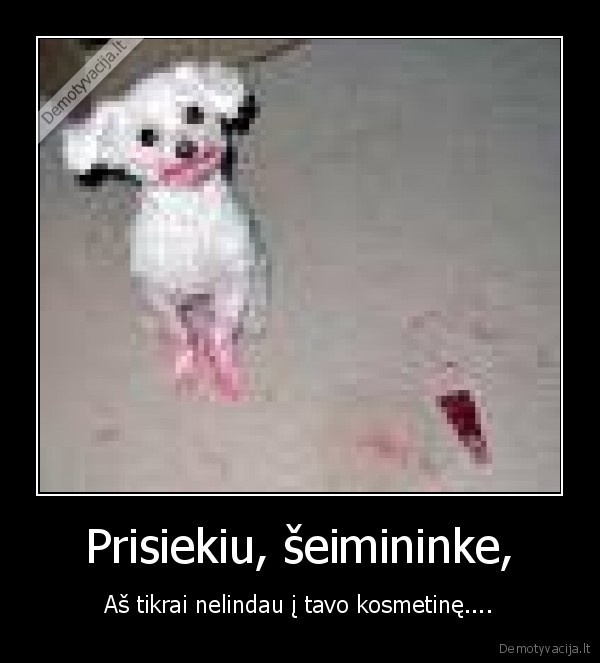 Prisiekiu, šeimininke,