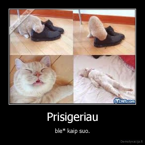 Prisigeriau