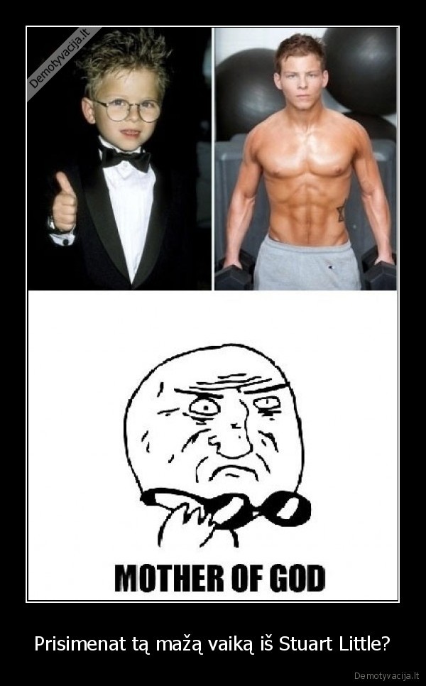 katinukas, iesko, katytes, svelniakailes