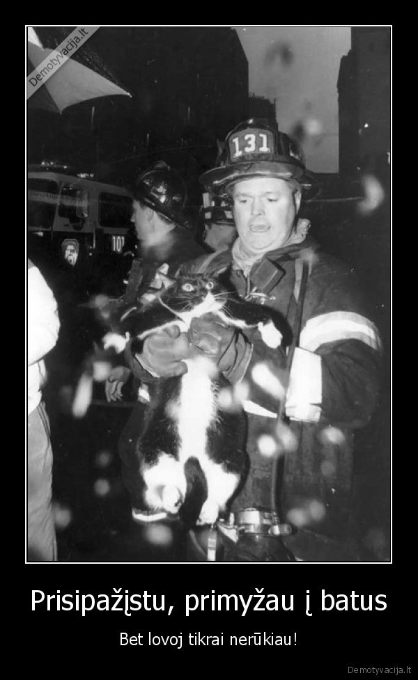 katinas,gaisrininkas, isgelbejo, katina