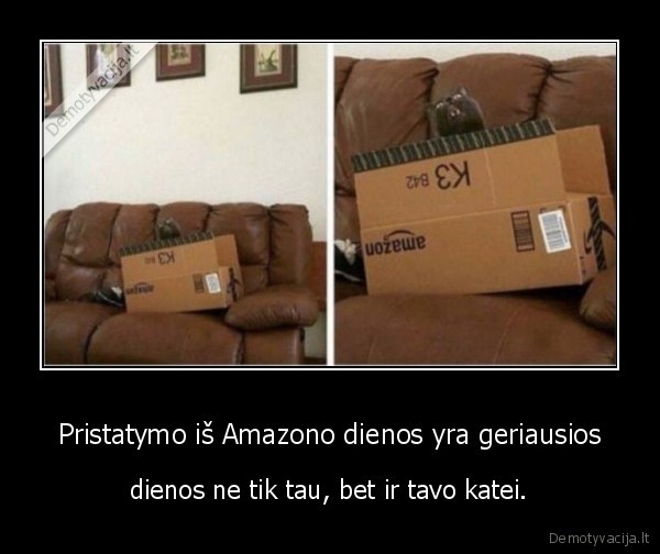 kate,katinas,parduotuve,deze,amazon