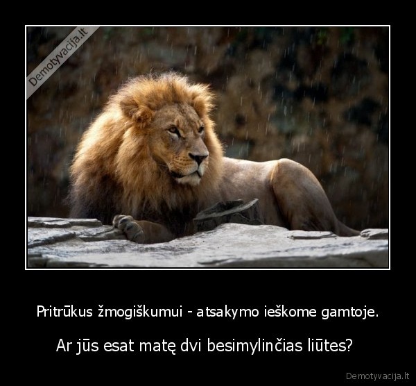 viskas, is, gamtos,homoseksualai,gamtoje, nera, homoseksualu