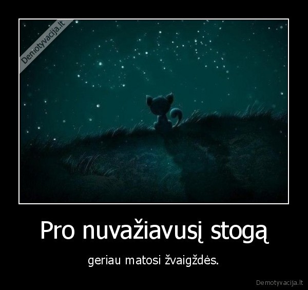 zvaigzdes,stogas,nuvaziavo