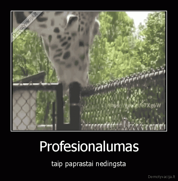 Profesionalumas