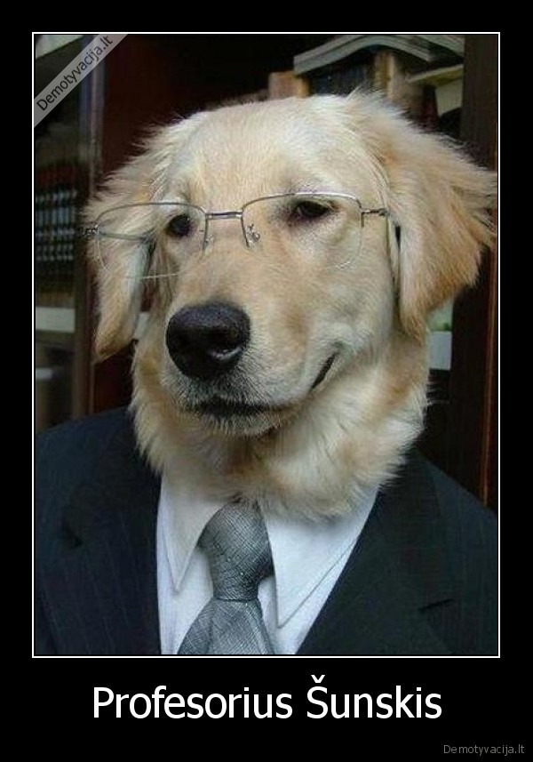 Profesorius Šunskis