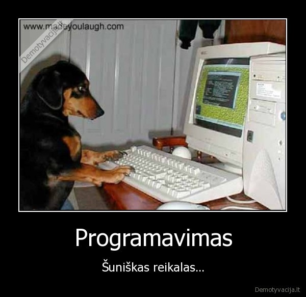 Programavimas
