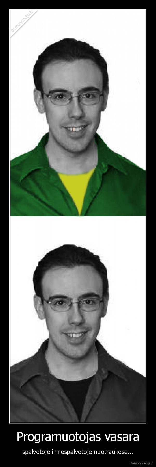 programuotojas,vasara