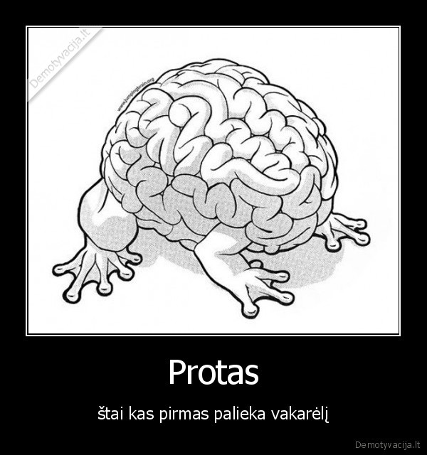 Protas