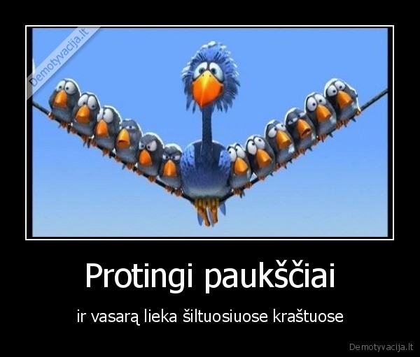 siltieji, krastai,pauksciai