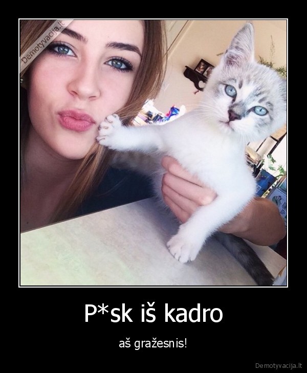 kaciukas,katinas,panele