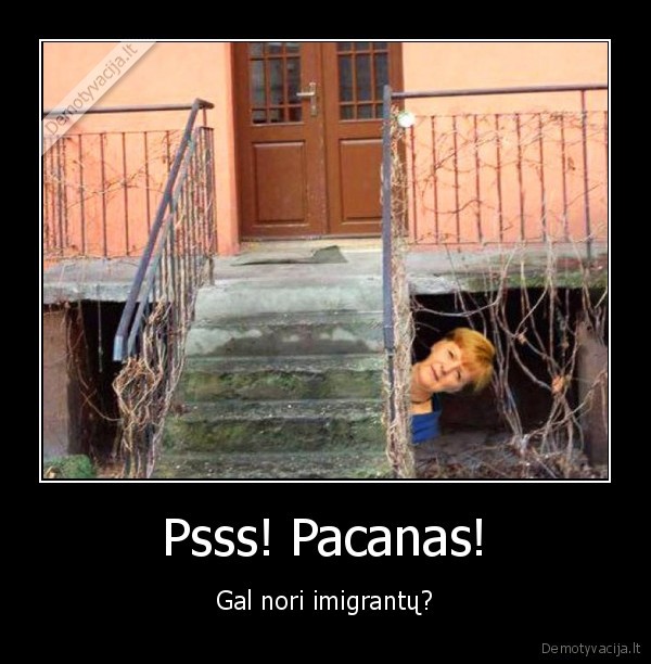merkel,imigrantai