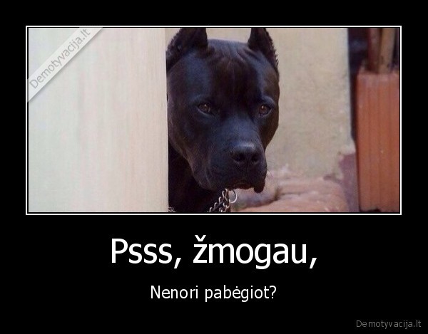 suo,begioti,zmogus