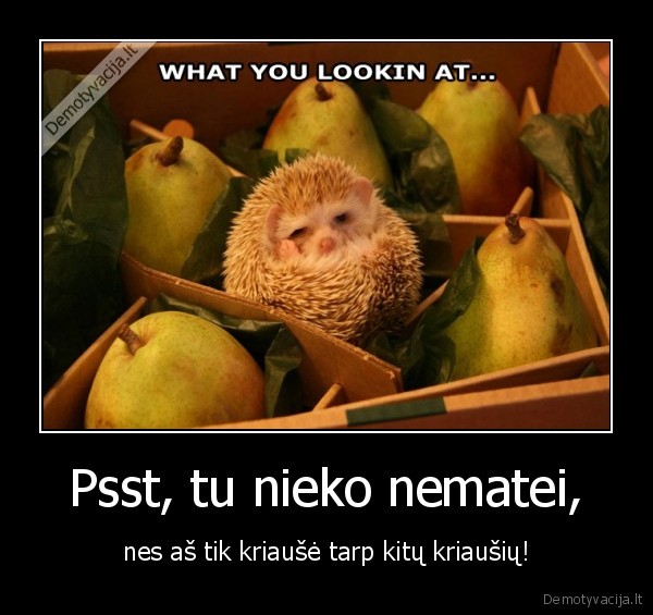 Psst, tu nieko nematei,