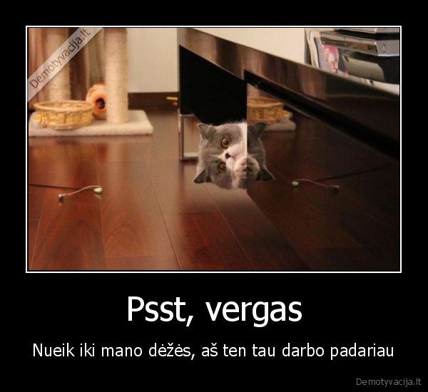 juokingas, katinas,katino, prisiko