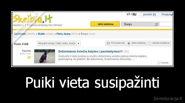 Puiki vieta susipažinti