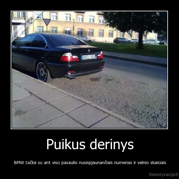 Puikus derinys