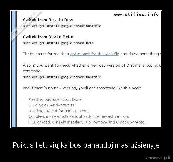 it,google,chrome,narsykle,kalba