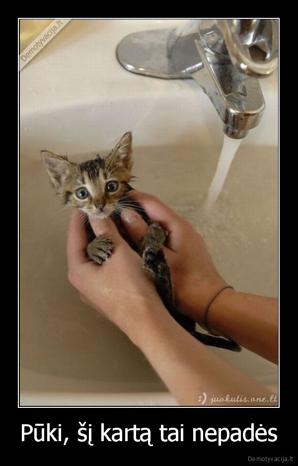 Pūki, šį kartą tai nepadės