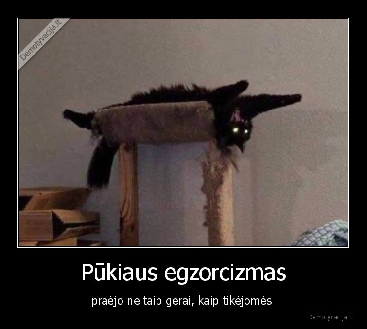 katinas,egzorcizmas,praejo,ne,gerai