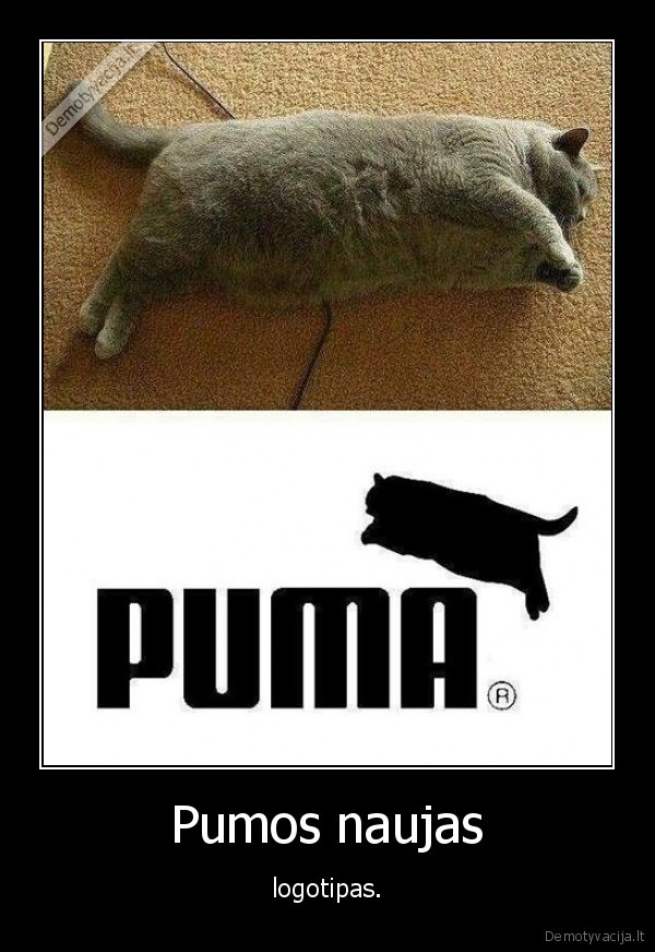 naujas, logotipas,storas, katinas,puma
