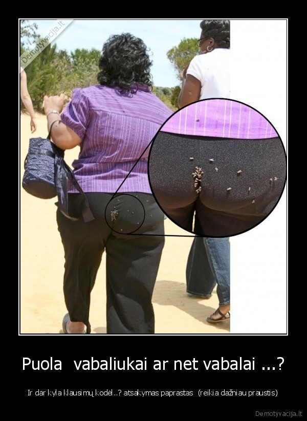 Puola  vabaliukai ar net vabalai ...?