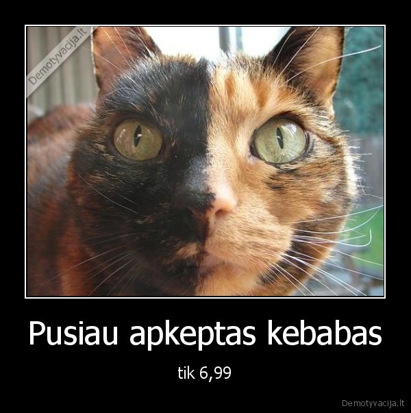 Pusiau apkeptas kebabas