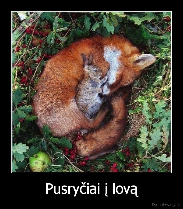 lape, ir, kiskis,zuikis, puikis,pusryciai