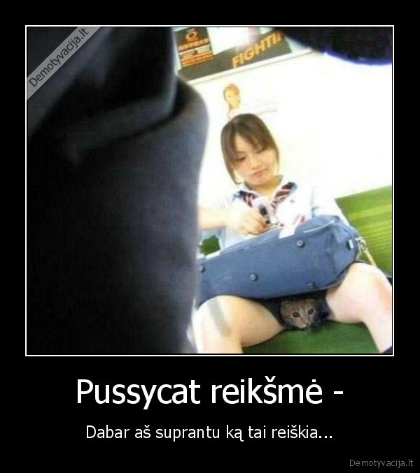 Pussycat reikšmė -