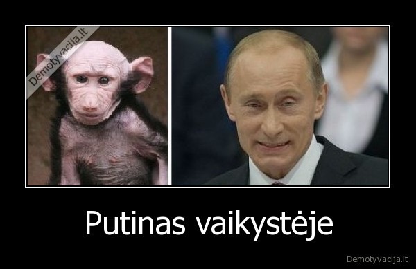 putinas, vaiksyteje,bezdzione,makaka,sypsena