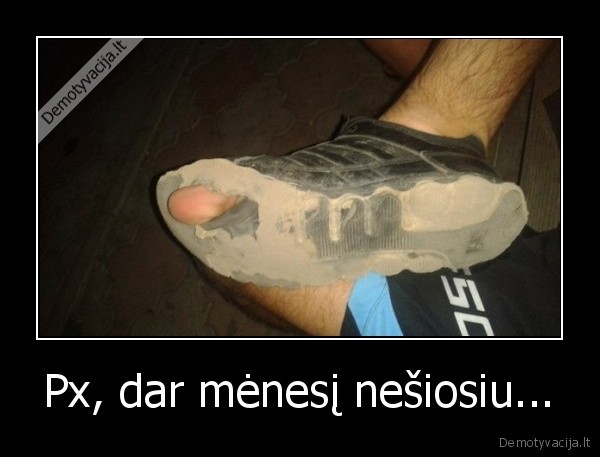 batai,susplyse,menesis