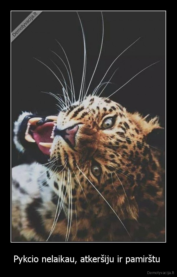 Pykcio nelaikau, atkeršiju ir pamirštu 