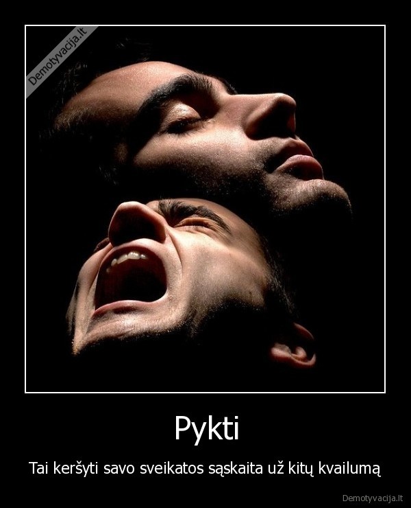 piktis,svaikata,kvailumas