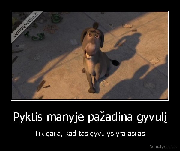 pyktis,srekas,asilas