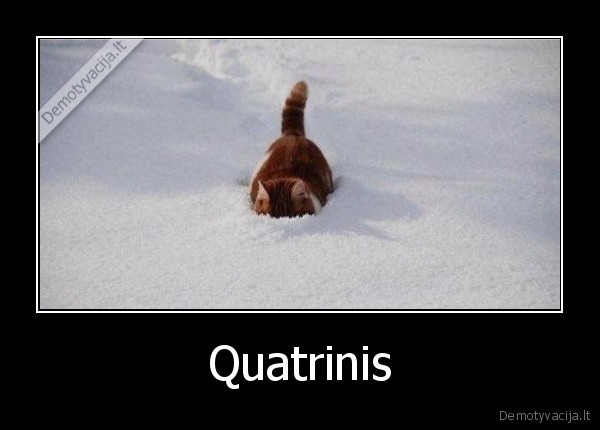 Quatrinis