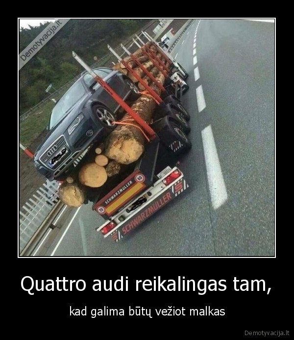 audi,quatro,malkos