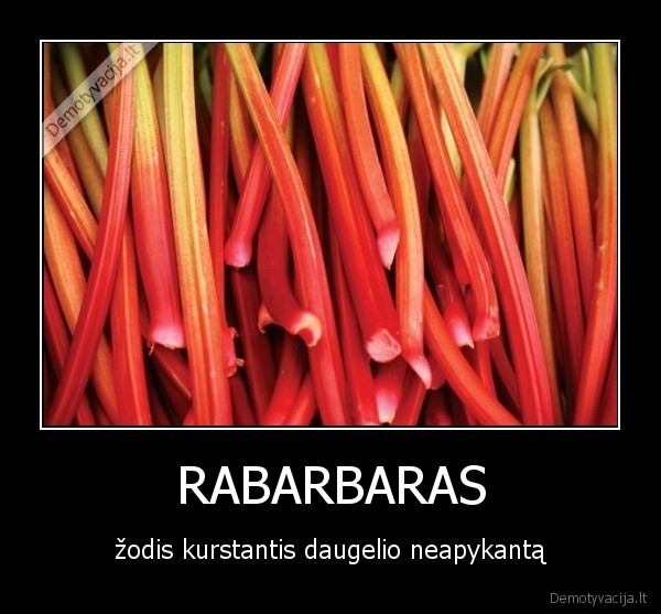 RABARBARAS