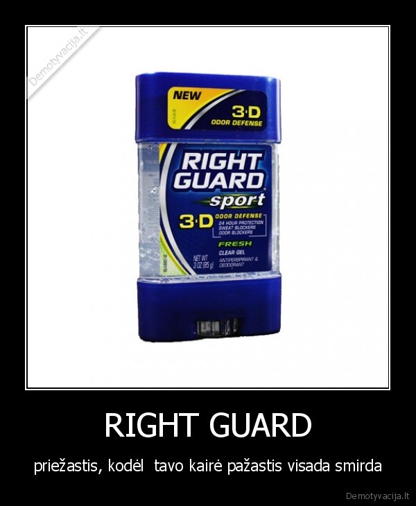 right, guard,pazastis,smarve